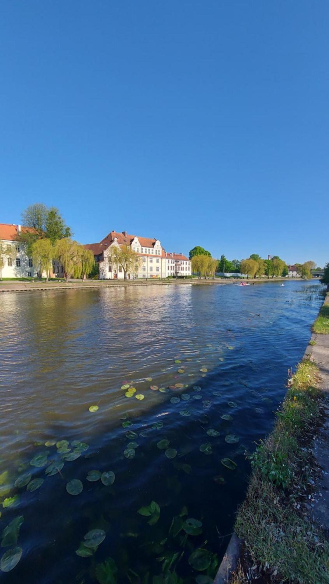Stare Miasto Kwiaty Elblag Esterno foto
